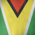 Guyana Flag Distressed iPhone X Skin